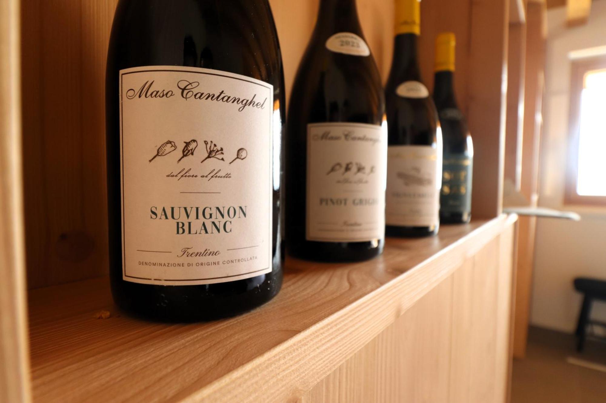 Maso Cantanghel Wine Retreat Civezzano Ngoại thất bức ảnh